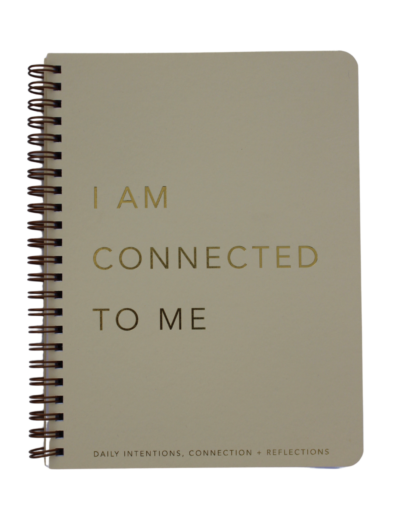 Daily Intentions Reflection Jounal